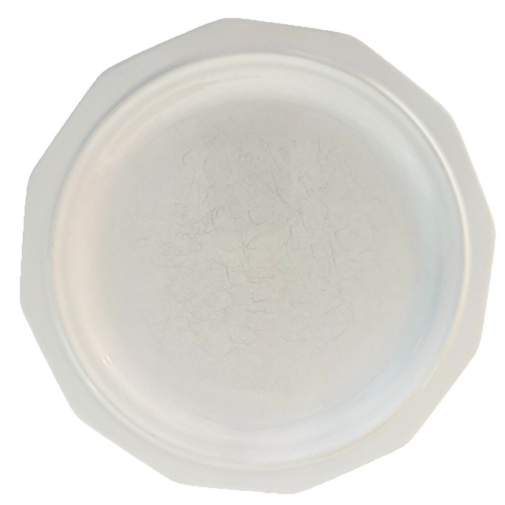 PFALTZGRAFF HERITAGE WHITE 10”Dinner Plates USA - Set Of  2 - Picture 3 of 5